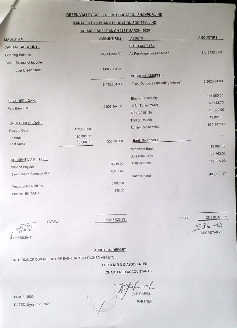 Balance Sheet Assesment Year 2020-21